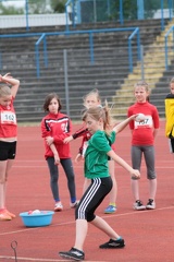 IMG 7384