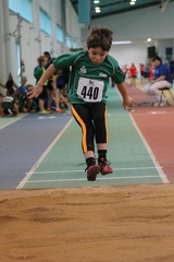 IMG 0335