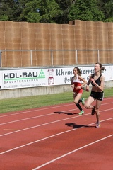 IMG 4525